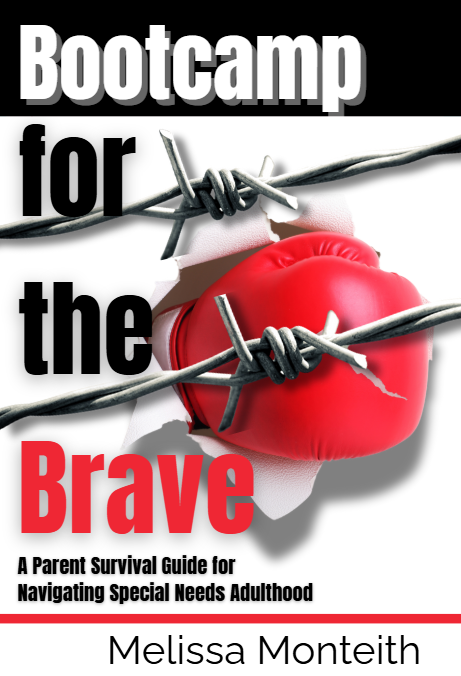 Bootcamp for the Brave